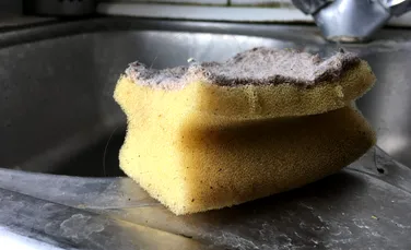 Cât de des ar trebui schimbați bureții de bucătărie?