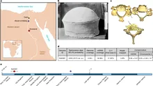 Cel mai vechi ADN egiptean dezvăluie secretele unui olar de elită din epoca piramidelor