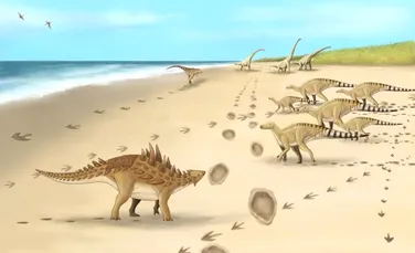 Urme de pași ale ultimilor dinozauri care au pășit pe teritoriul Marii Britanii, descoperite de cercetători