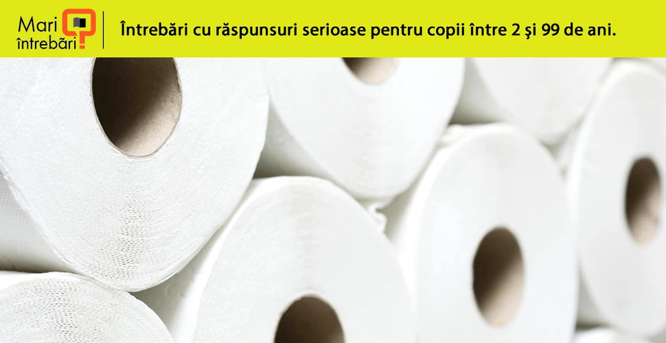 Cine a inventat hârtia igienică?