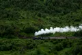 Canicula oprește o tradiție veche de peste un secol în Marea Britanie