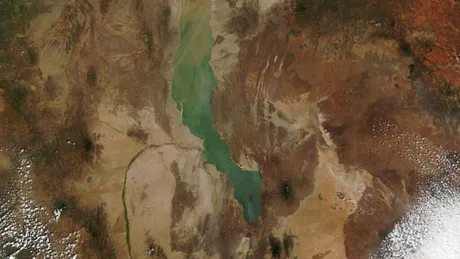 De ce atât de multe fosile ale strămoșilor noștri au fost găsite în Africa de Est?