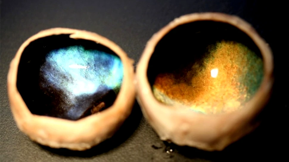 Ce animal are ochii galbeni vara şi albaştri iarna? Şi de ce?