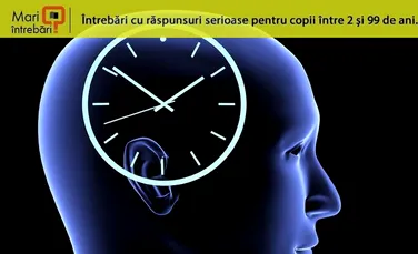 Cum reuşeşte creierul să perceapă timpul?