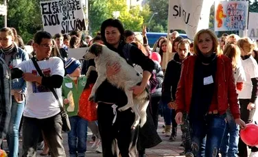 Puşa, mascota protestelor de după Colectiv, îşi caută stăpân