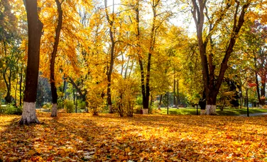 Vremea se încălzește din nou! Anunțul meteorologilor
