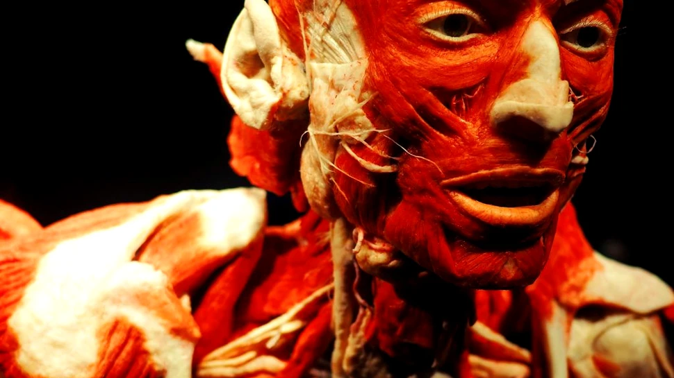 Țesutul nou și sănătos poate fi „printat” direct în corp cu ajutorul unei tehnici inovatoare