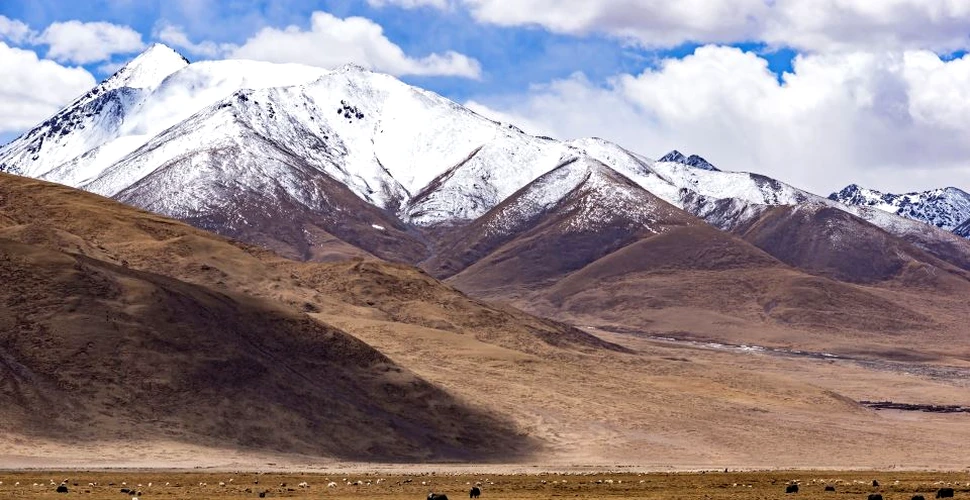 Cutezanţa oamenilor din Epoca de Piatră a dus la cucerirea Platoului Tibetan, aflat la 4.600 de metri altitudine, mult mai devreme decât s-a crezut anterior