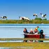 Păsările din Delta Dunării, hăituite de fotografi și turiști „iubitori de natură”