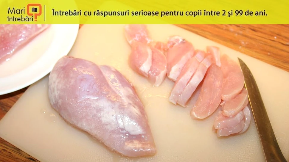 Ce sunt fâşiile albicioase de pe pieptul de pui?
