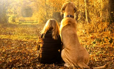Longevitatea câinilor. Cât ar putea trăi prietenul tău cel mai bun?