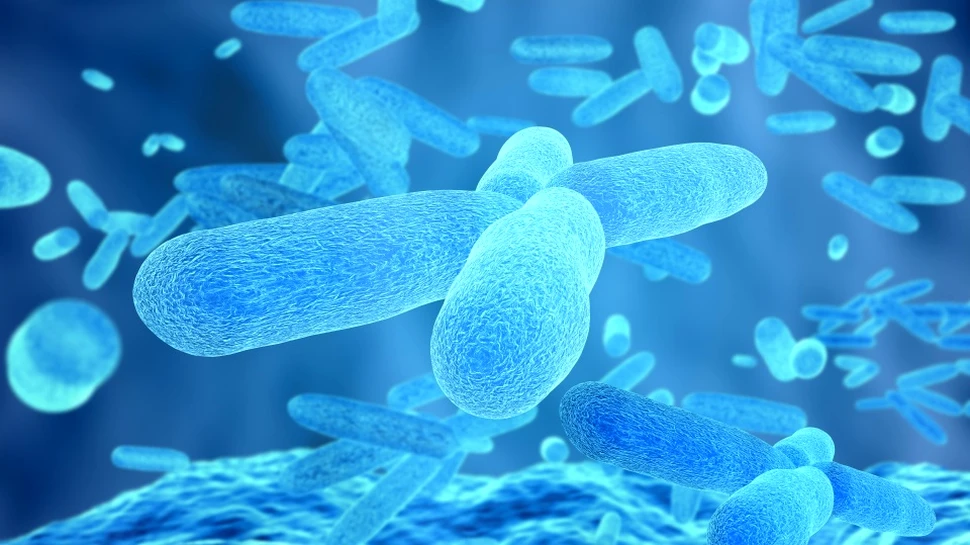 Apetitul neobişnuit pentru aur al unei bacterii poate duce la o revoluţie în combustibilii bio