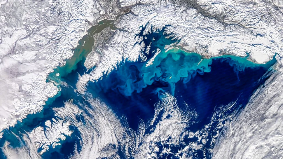 Antarctica tocmai a înregistrat cea mai rapidă prăbușire a unui ghețar documentată vreodată