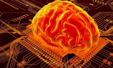Creierul uman ar putea stoca internetul întreg în memorie. ”Aceasta este o bombă reală”.