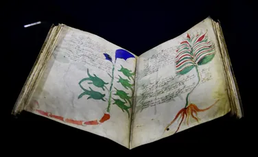 Manuscrisul Voynich, codex medieval scris într-o limbă inexistentă. Enigmă criptografică veche de 600 de ani