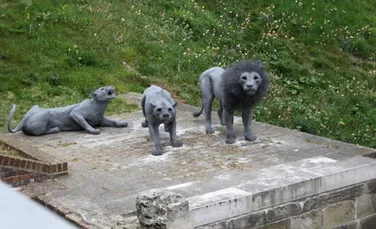 În Londra secolului al XVIII-lea puteai vizita grădina zoologică dacă aduceai o pisică sau un câine pentru a hrăni leii