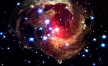 Fizicienii sunt de părere că o formă ciudată de viață ar putea prospera în interiorul stelelor