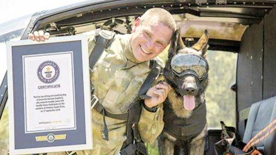 Arrow, primul câine care a zburat cu paraşuta