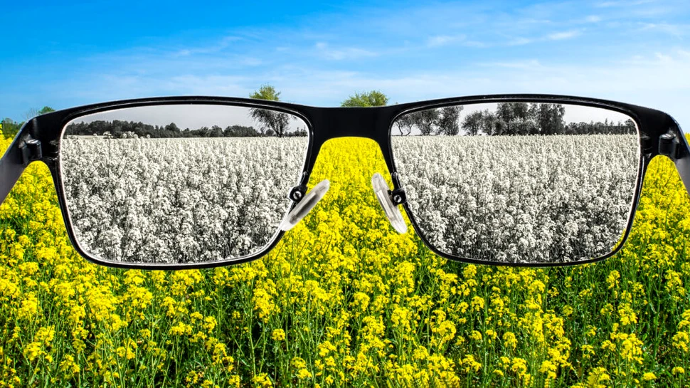 Crezi că vezi realitatea așa cum e? Știința spune că mintea o reconstruiește permanent