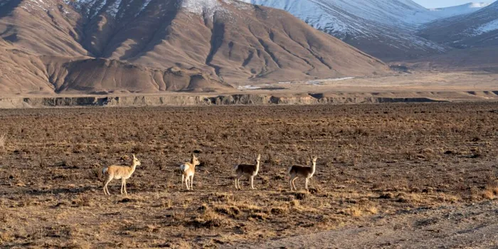 Cum a încercat primul împărat al Chinei să găsească elixirul nemuririi?