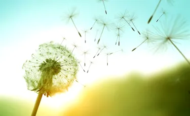 Logoterapia – 15 principii care te pot ajuta să găsești sens în situații limită din viață