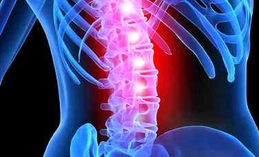 Cercetătorii au reuşit să regenereze nervii distruşi în urma unor leziuni ale coloanei vertebrale