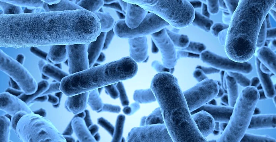 99% dintre microbii din corpul uman sunt necunoscuţi ştiinţei