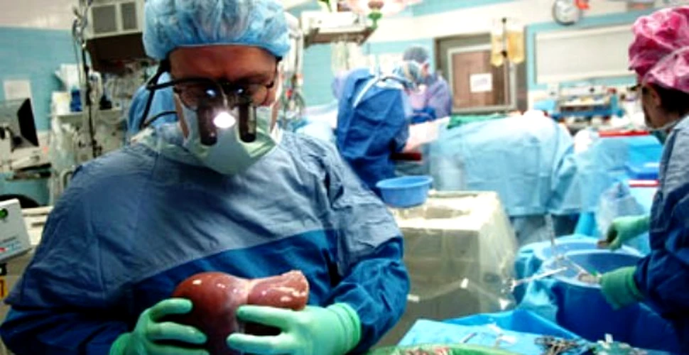 Un singur ficat transplantat a salvat doua vieti deodata