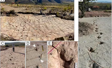 Cel mai mare sit de urme de dinozauri din lume a stabilit mai multe recorduri