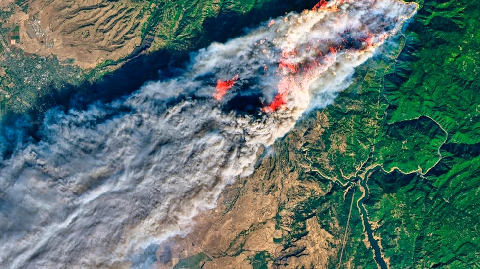 Chiar și după ce sunt stinse, incendiile de vegetație lasă în urmă un fenomen devastator