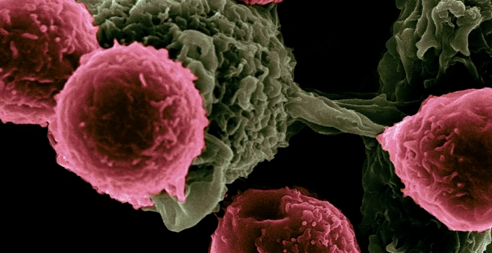 Medicii au descoperit o proteină care face legătura între toate tipurile de cancer
