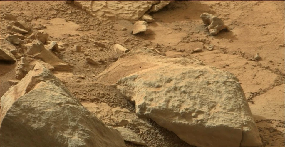 „Iguana de pe Marte” – noi imagini ciudate de pe Planeta Roşie stârnesc rumoare
