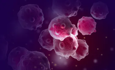Noi indicii despre modul în care se răspândesc celulele canceroase