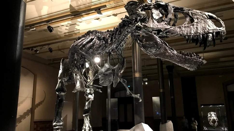 Extincția care a permis dinozaurilor să domine lumea
