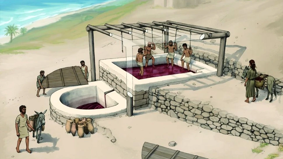 Primul teasc fenician descoperit de arheologi în Liban