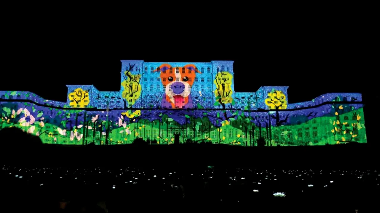 imapp bucharest 