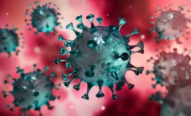 A fost identificată o vulnerabilitate a coronavirusului