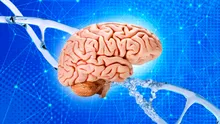 Corpul își amintește trauma chiar și după ce mintea o uită, arată un studiu