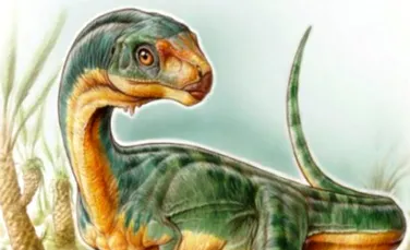 Cercetătorii au descoperit un T-Rex erbivor