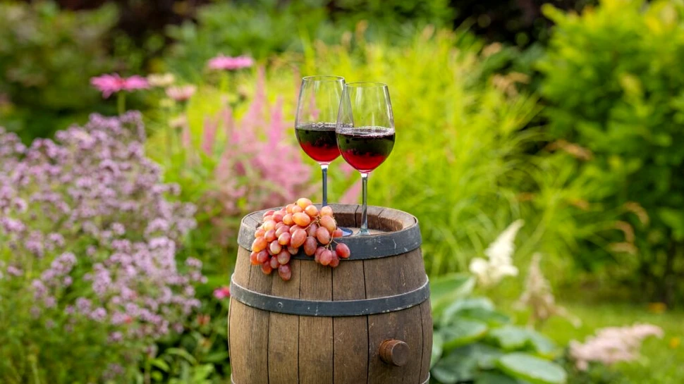 Vinul românesc, apreciat la nivel internațional, dar fară o strategie coerentă pe plan național