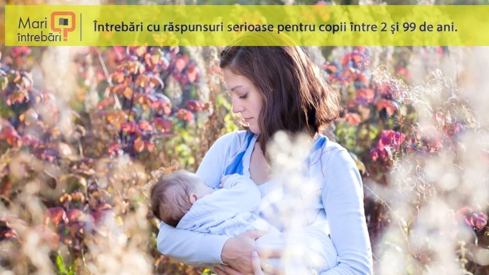 Cum ştiu bebeluşii să se ghideze spre mameloane pentru a se hrăni, la doar câteva minute de la naştere?