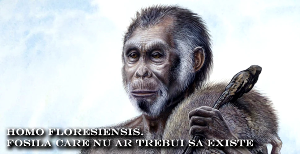 Homo floresiensis – fosila care nu ar trebui sa existe