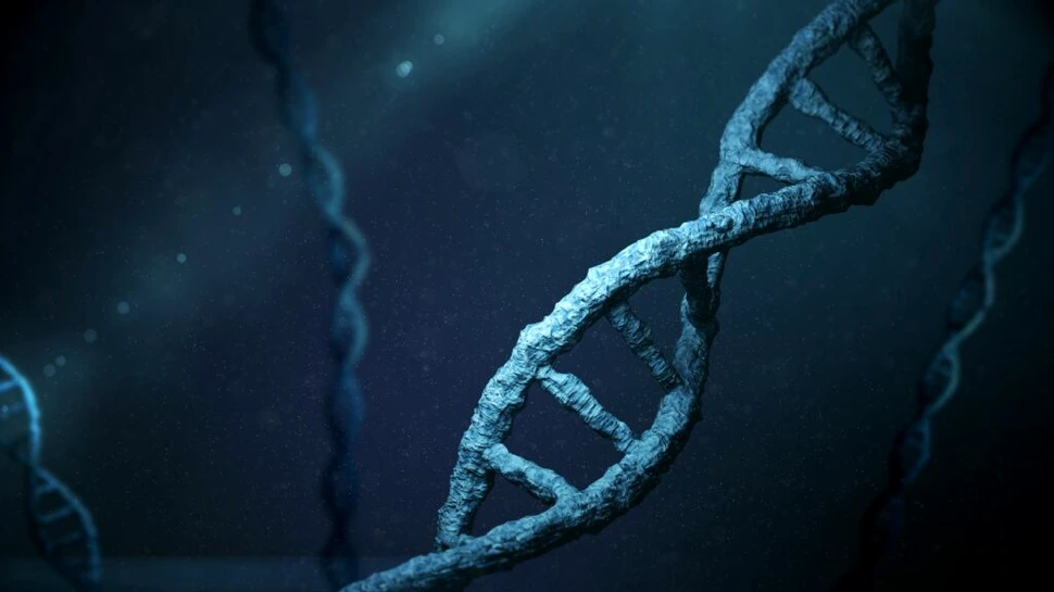 Cercetătorii au identificat o proteină care promovează repararea ADN-ului și previne cancerul