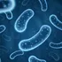 Cercetătorii vor să transforme bacteriile în procesoare digitale
