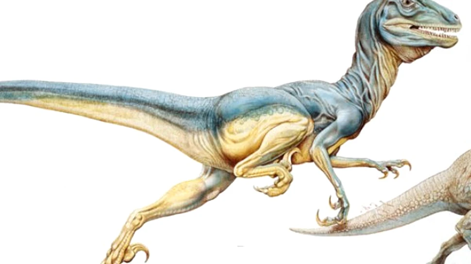 Au fost descoperite primele urme ale unui dinozaur coreean