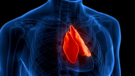 Un organ uitat ar putea prezice cât de mult vei trăi