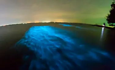 ”Calea Lactee” a mărilor este un fenomen pe cât de fascinant, pe atât de straniu. Nimeni nu a putut să-l explice – FOTO