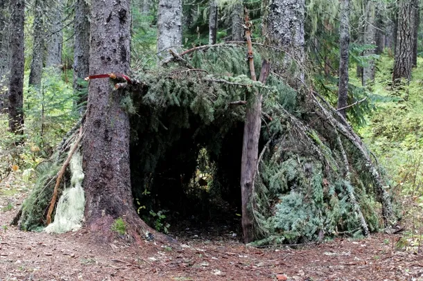 Adăpost de noapte improvizat în pădure