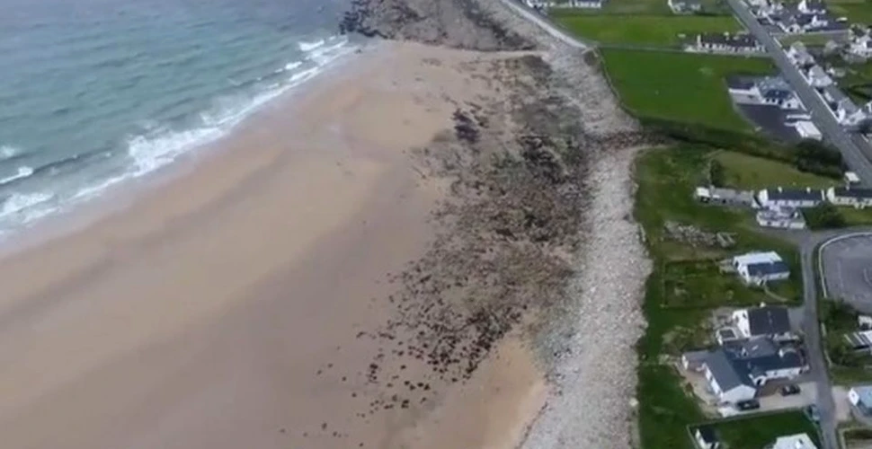 O plajă a reapărut în mod miraculos în Irlanda după 30 de ani de la dispariţie