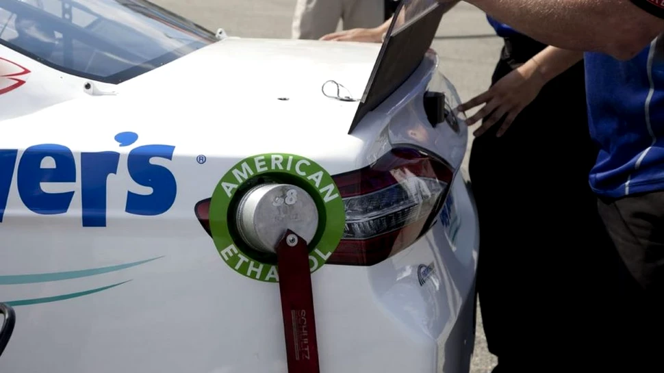 Combustibil din plante. Cercetătorii au descoperit o metodă mai ieftină pentru producția acestuia